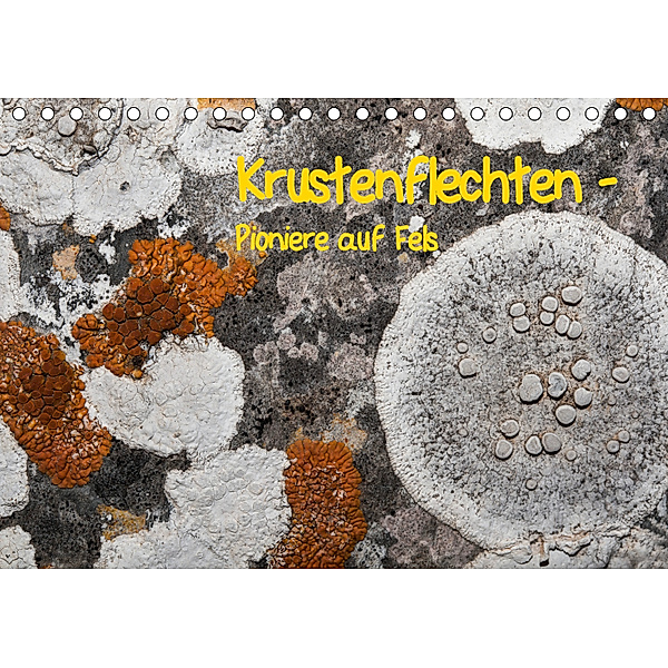 Krustenflechten - Pioniere auf Fels (Tischkalender 2019 DIN A5 quer), Focusnatura.at