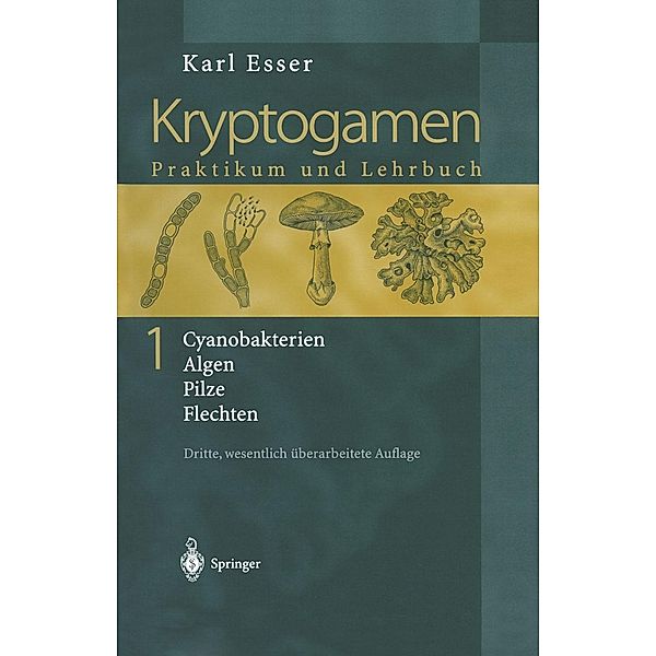 Kryptogamen 1, Karl Esser