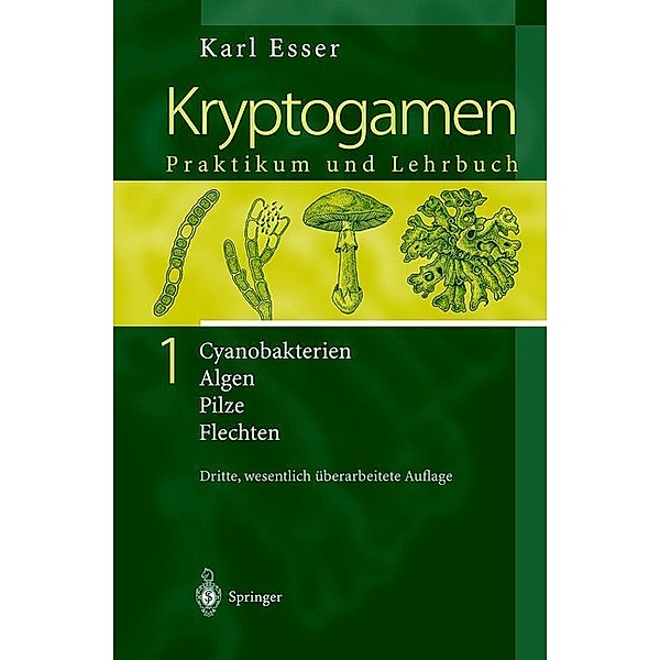 Kryptogamen 1, Karl Esser