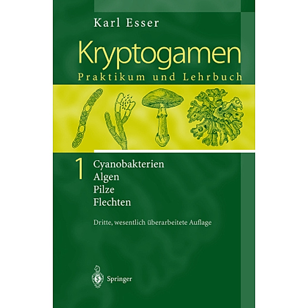 Kryptogamen: Bd.1 Cyanobakterien Algen Pilze Flechten. Praktikum und Lehrbuch, Karl Esser