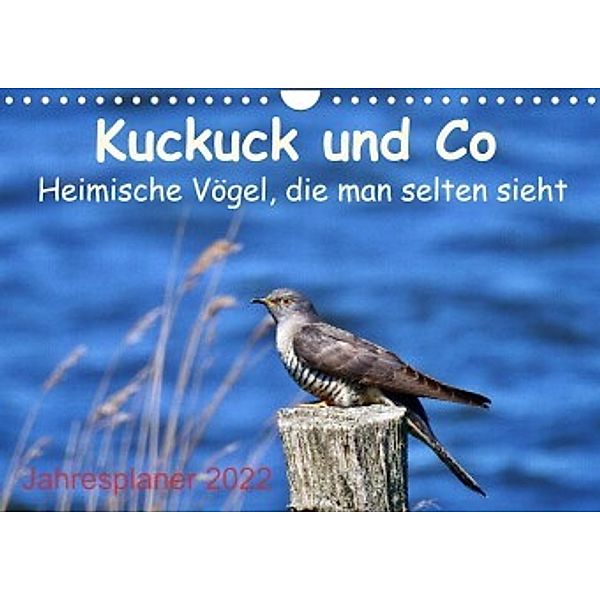 Kuckuck und Co - Heimische Vögel, die man selten sieht -  Jahresplaner 2022 (Wandkalender 2022 DIN A4 quer), René Schaack