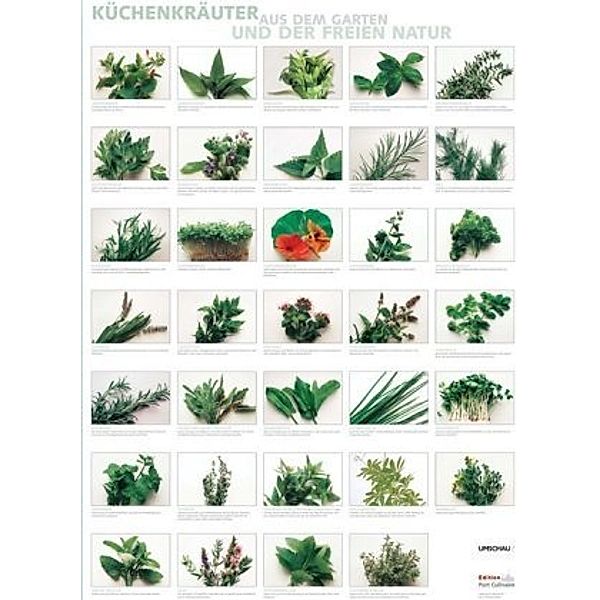 Küchenkräuter aus dem Garten und der freien Natur, Poster