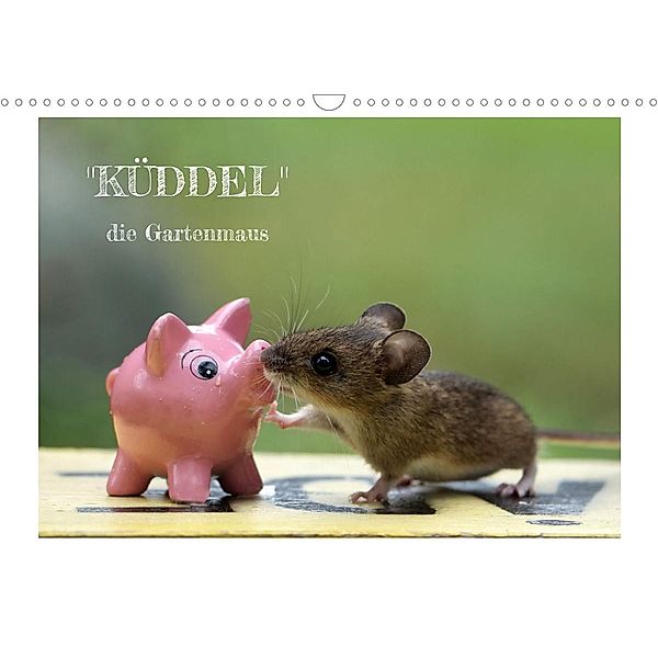 Küddel die Gartenmaus (Wandkalender 2022 DIN A3 quer), Alexa Körner