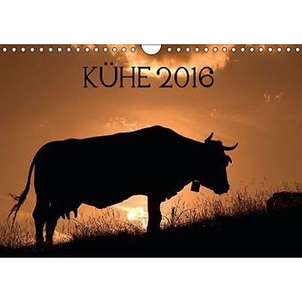 Kühe 2016 (Wandkalender 2016 DIN A4 quer), Jorge Ruiz del Olmo