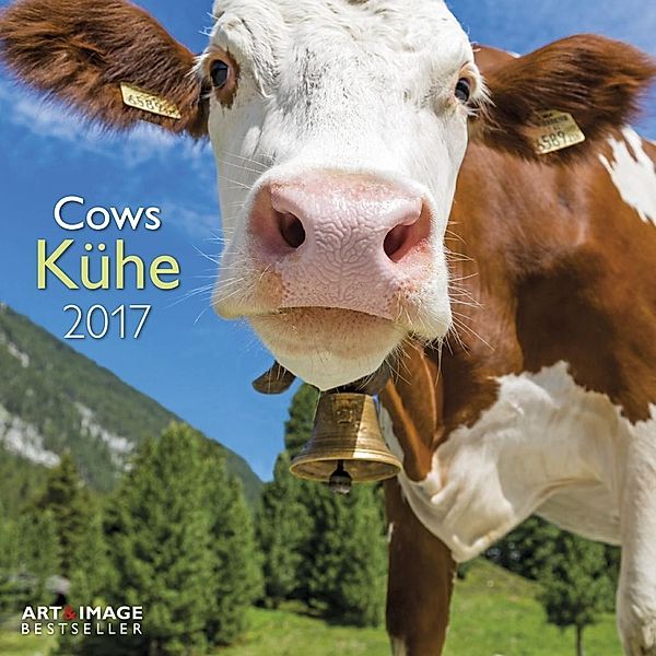 Kühe 2017