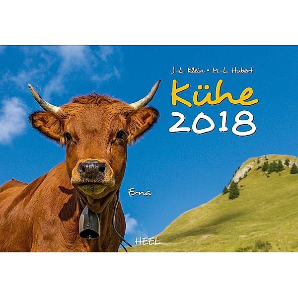 Kühe 2018