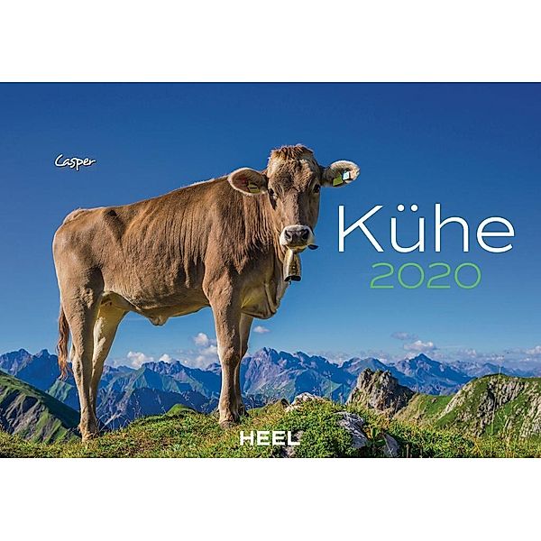 Kühe 2020