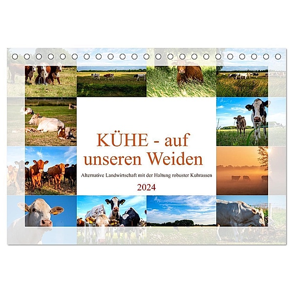 Kühe - auf unseren Weiden (Tischkalender 2024 DIN A5 quer), CALVENDO Monatskalender, Tanja Riedel