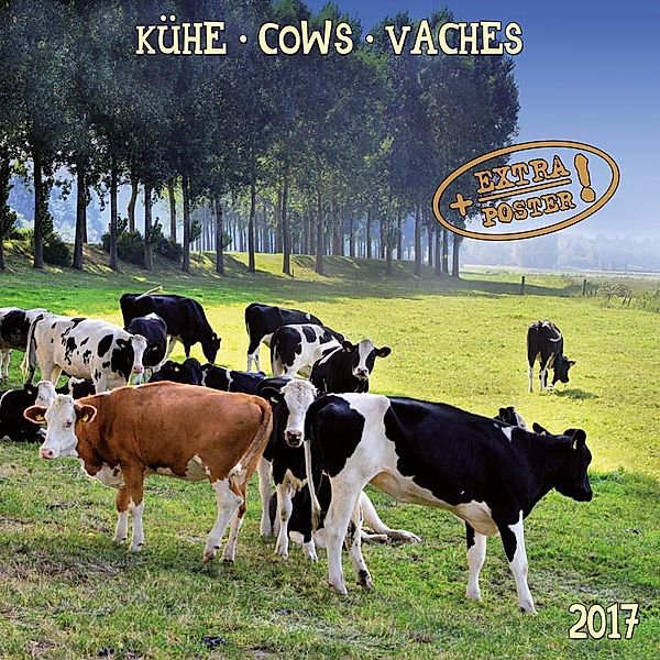 Kühe / Cows / Vaches 2017