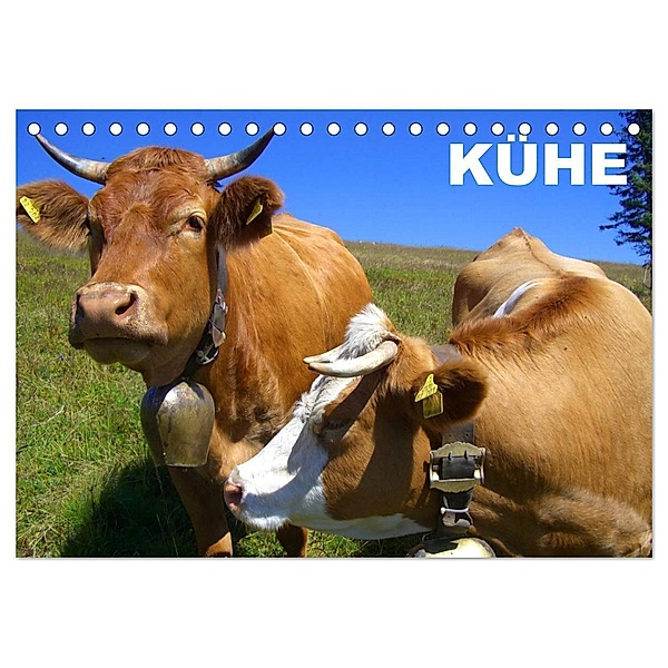 Kühe / Geburtstagskalender (Tischkalender 2024 DIN A5 quer), CALVENDO Monatskalender, Elisabeth Stanzer