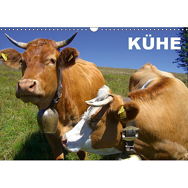 Kühe / Geburtstagskalender (Wandkalender 2019 DIN A3 quer), Elisabeth Stanzer