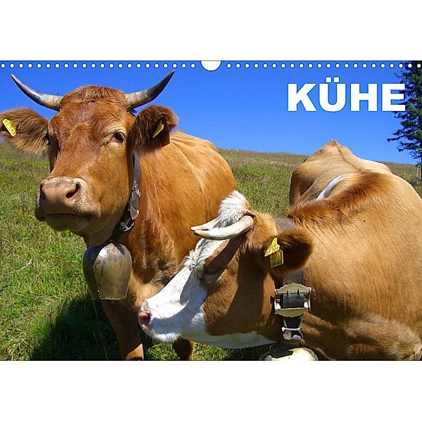 Kühe / Geburtstagskalender (Wandkalender 2023 DIN A3 quer), Elisabeth Stanzer