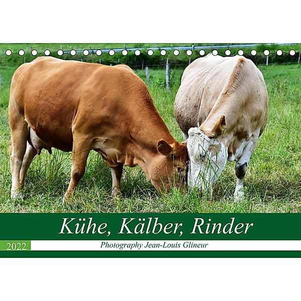 Kühe, Kälber, Rinder (Tischkalender 2022 DIN A5 quer), Jean-Louis Glineur / DeVerviers