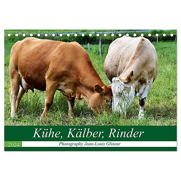 Kühe, Kälber, Rinder (Tischkalender 2024 DIN A5 quer), CALVENDO Monatskalender, Jean-Louis Glineur / DeVerviers
