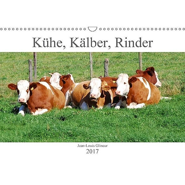 Kühe, Kälber, Rinder (Wandkalender 2017 DIN A3 quer), Jean-Louis Glineur