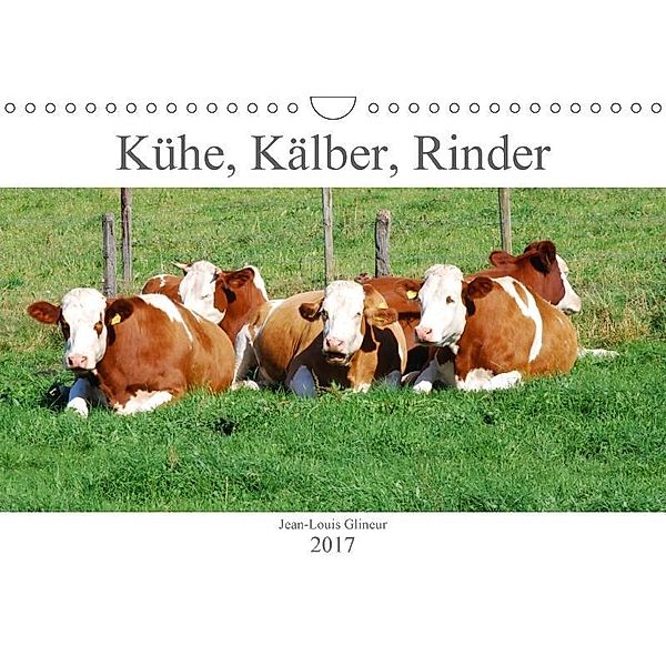 Kühe, Kälber, Rinder (Wandkalender 2017 DIN A4 quer), Jean-Louis Glineur