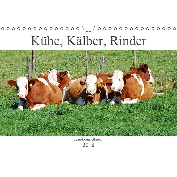 Kühe, Kälber, Rinder (Wandkalender 2018 DIN A4 quer), Jean-Louis Glineur