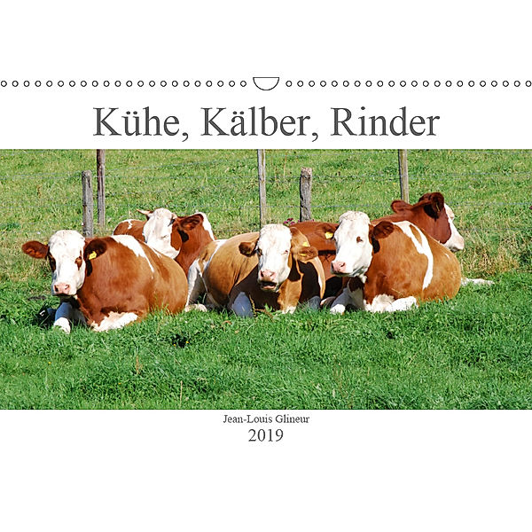 Kühe, Kälber, Rinder (Wandkalender 2019 DIN A3 quer), Jean-Louis Glineur