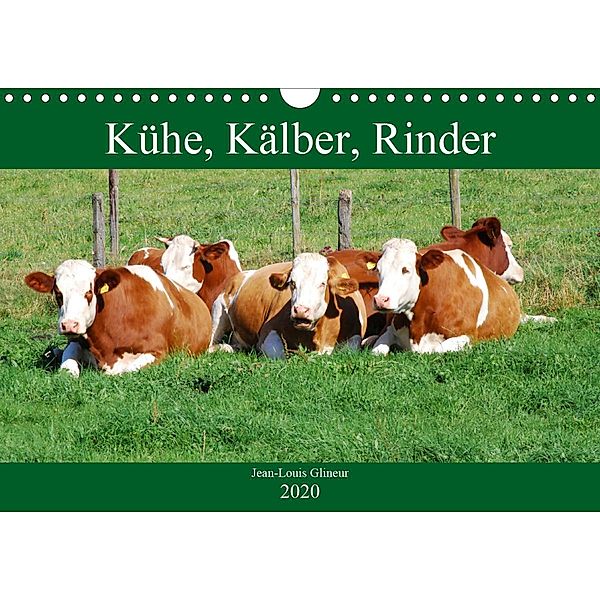 Kühe, Kälber, Rinder (Wandkalender 2020 DIN A4 quer), Jean-Louis Glineur