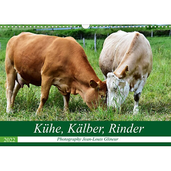 Kühe, Kälber, Rinder (Wandkalender 2022 DIN A3 quer), Jean-Louis Glineur