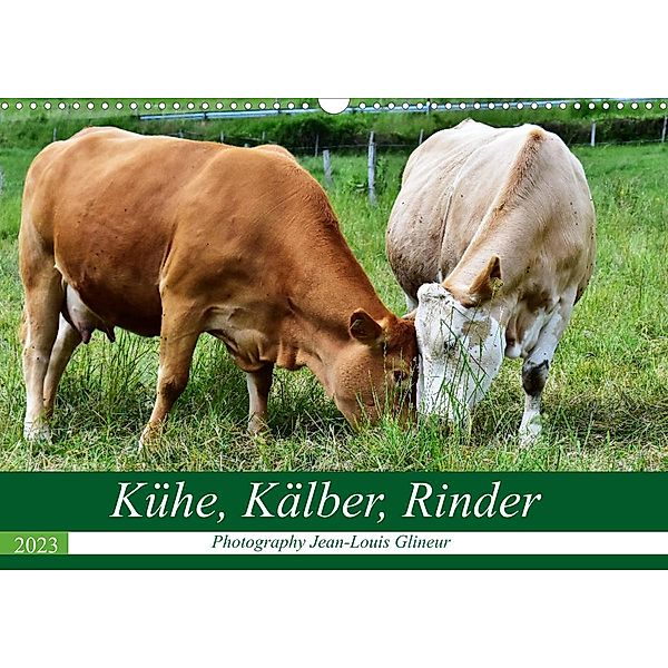 Kühe, Kälber, Rinder (Wandkalender 2023 DIN A3 quer), Jean-Louis Glineur / DeVerviers