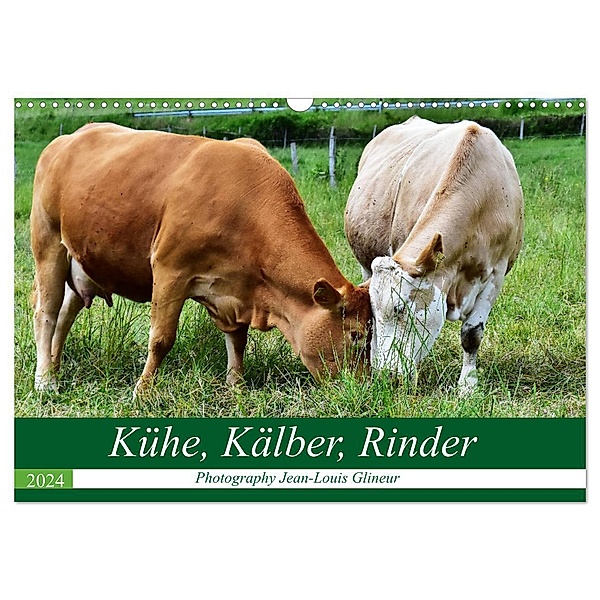 Kühe, Kälber, Rinder (Wandkalender 2024 DIN A3 quer), CALVENDO Monatskalender, Jean-Louis Glineur / DeVerviers