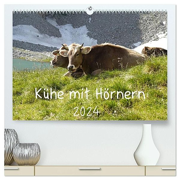 Kühe mit Hörnern (hochwertiger Premium Wandkalender 2024 DIN A2 quer), Kunstdruck in Hochglanz, Stefanie Goldscheider