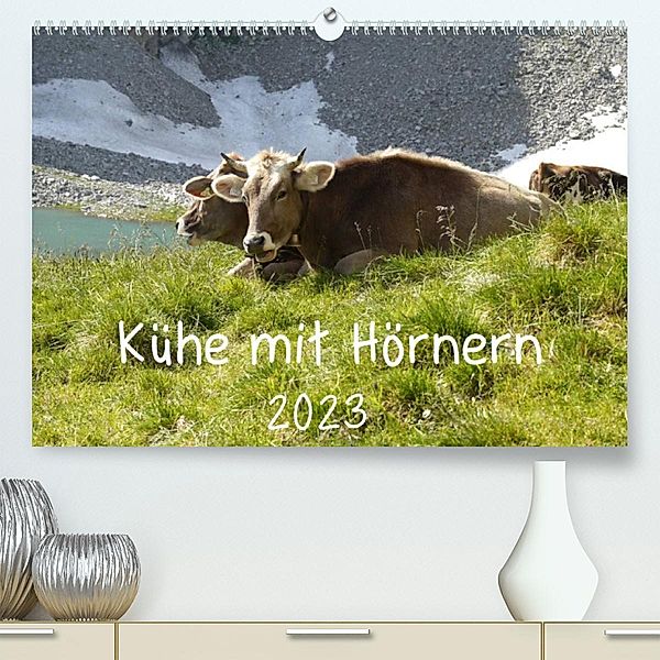 Kühe mit Hörnern (Premium, hochwertiger DIN A2 Wandkalender 2023, Kunstdruck in Hochglanz), Stefanie Goldscheider