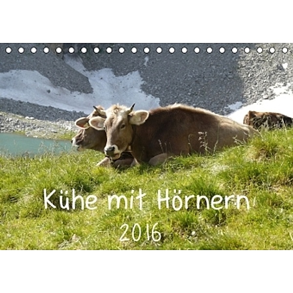 Kühe mit Hörnern (Tischkalender 2016 DIN A5 quer), Stefanie Goldscheider