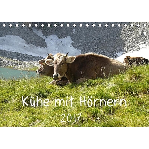 Kühe mit Hörnern (Tischkalender 2017 DIN A5 quer), Stefanie Goldscheider