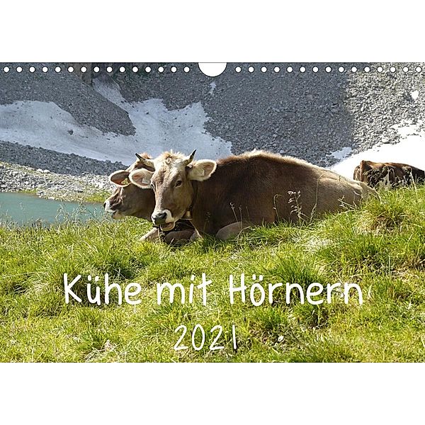 Kühe mit Hörnern (Wandkalender 2021 DIN A4 quer), Stefanie Goldscheider