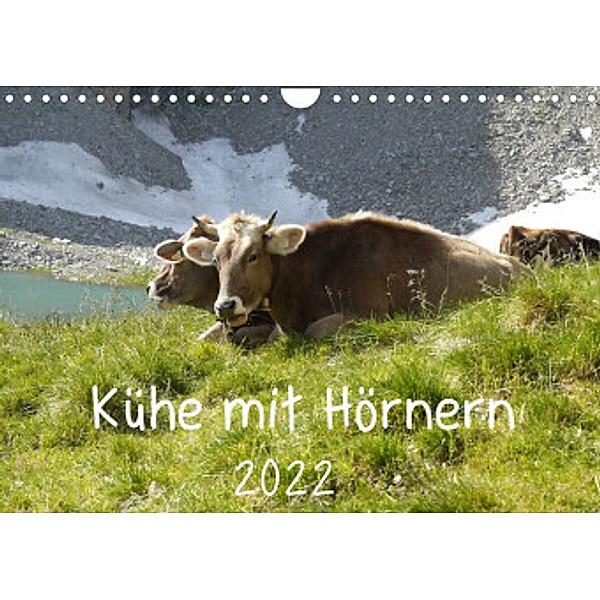 Kühe mit Hörnern (Wandkalender 2022 DIN A4 quer), Stefanie Goldscheider