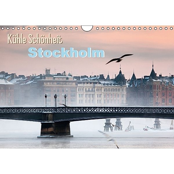 Kühle Schönheit: Stockholm (Wandkalender 2014 DIN A4 quer)