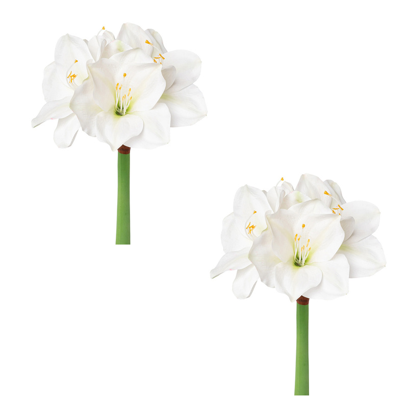 Künstliche Amaryllis im 2er-Set, weiß, 56 cm