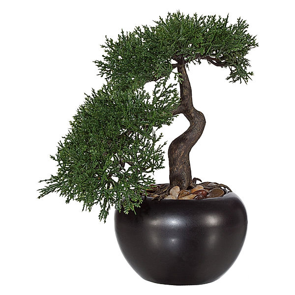 Künstliche Bonsai Zeder im Keramiktopf mit Kies Ø 13 cm (Grösse: 25 cm)