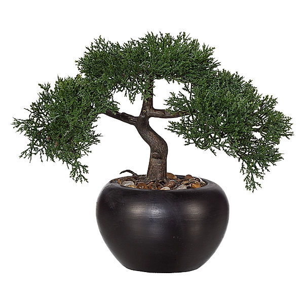 Künstliche Bonsai Zeder im Keramiktopf mit Kies Ø 15 cm (Größe: 26 cm )