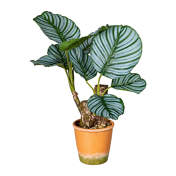 Künstliche Calatheapflanze im Paperpot, 9 Blätter, 45 cm