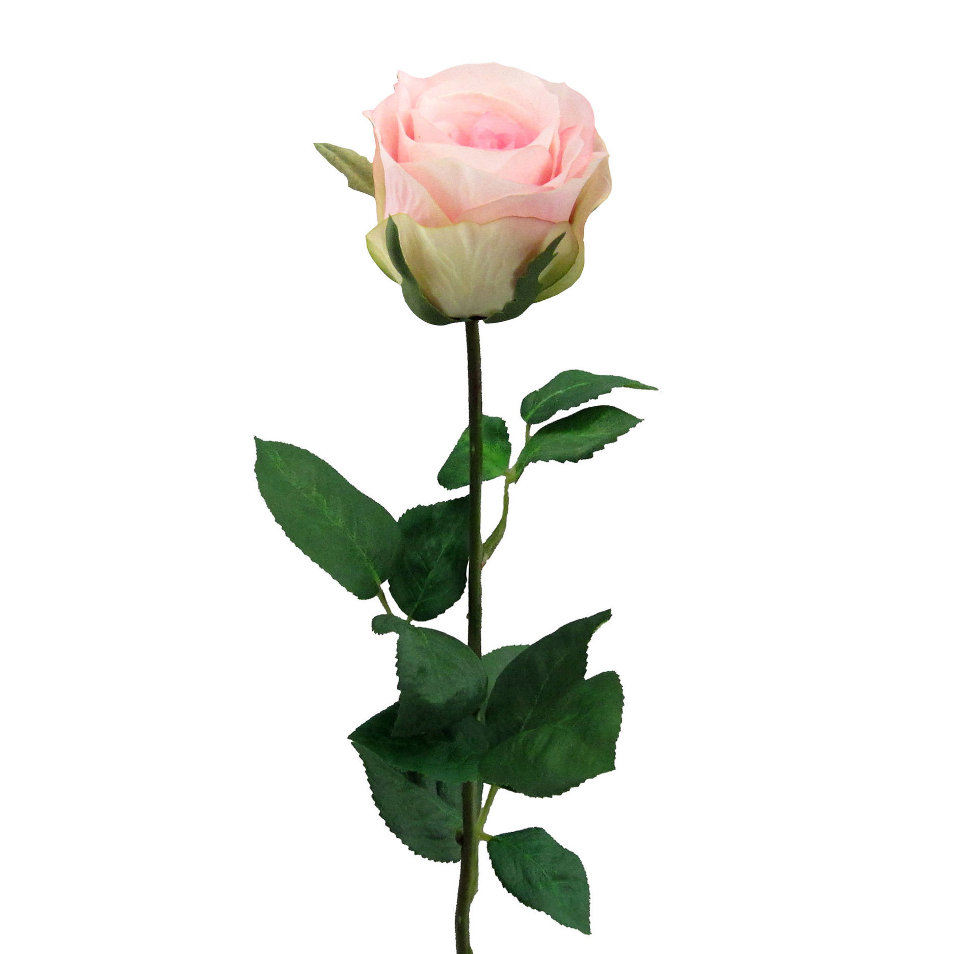 Künstliche Gartenrose, Langstiel mit 6 Blüten, 69 cm Farbe: rosa |  Weltbild.at