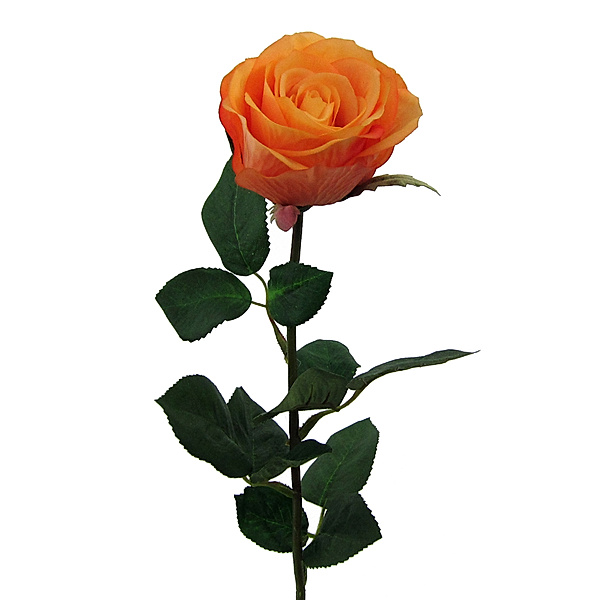 Künstliche Gartenrose, Langstiel mit 6 Blüten, 69 cm (Farbe: apricot)