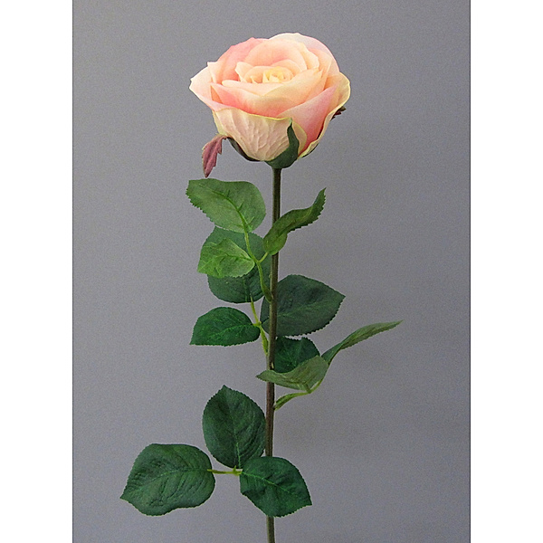Künstliche Gartenrose, Langstiel mit 6 Blüten, 69 cm (Farbe: hellrosa)
