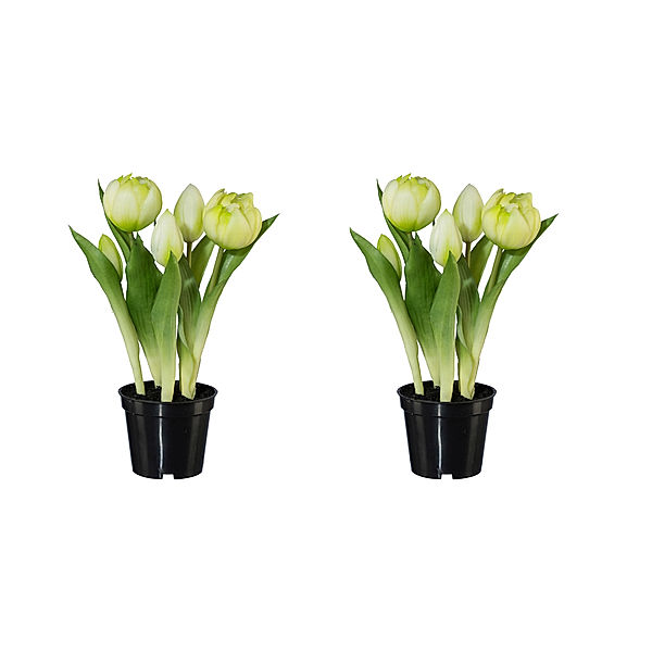 Künstliche gefüllte Tulpen im Topf, 2er-Set, 25 cm (Farbe: weiß)