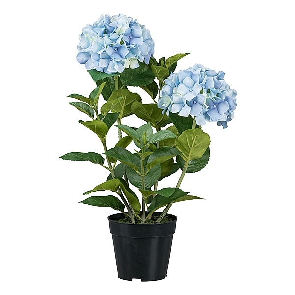 Künstliche Hortensie im Topf, 58 cm (Farbe: blau)