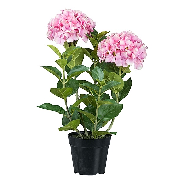 Künstliche Hortensie im Topf, 58 cm (Farbe: rosa)