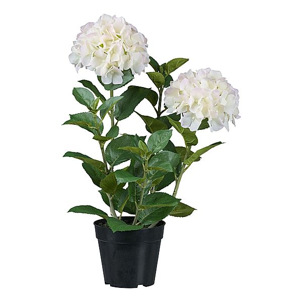 Künstliche Hortensie im Topf, 58 cm (Farbe: weiß)