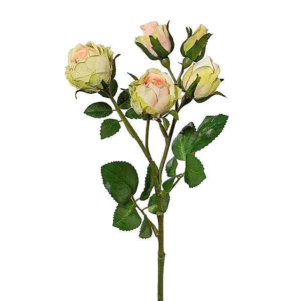 Künstliche Polyantrose, 4 Blüten, 39 cm (Farbe: apricot)