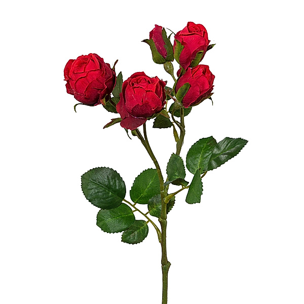 Künstliche Polyantrose, 4 Blüten, 39 cm (Farbe: rot)