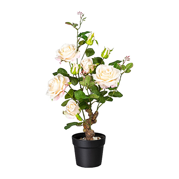 Künstliche Rose im Topf mit Kies, 5 Blüten/3 Knospen (Farbe: apricot)