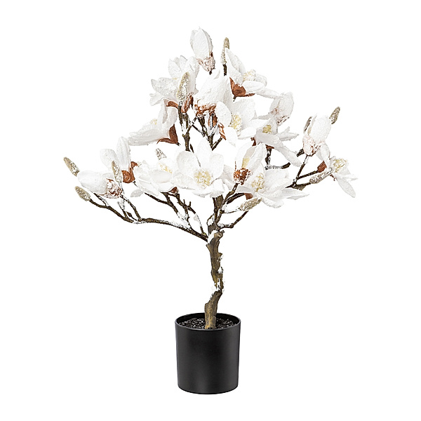 Künstlicher Magnolienbaum mit Schnee, 58 cm