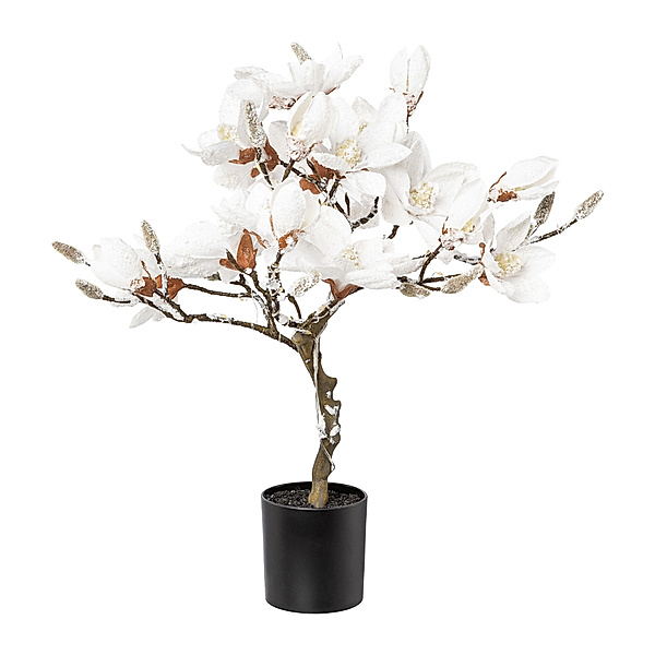 Künstlicher Magnolienbaum mit Schnee und Beleuchtung, 20 LED, 58 cm