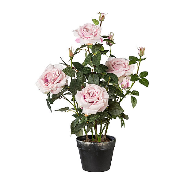 Künstlicher Rosenstock im Kunststofftopf, 68cm (Farbe: rosa)